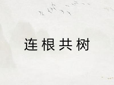 连根共树