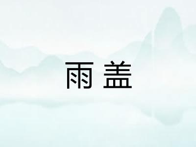 雨盖