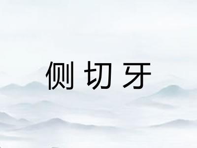 侧切牙
