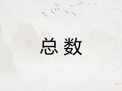 总数