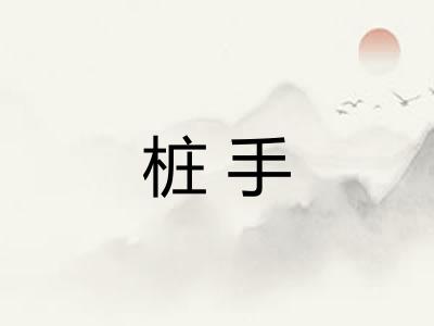 桩手