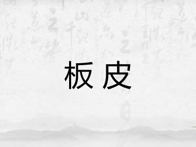 板皮