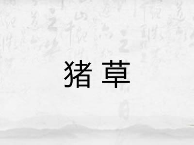 猪草