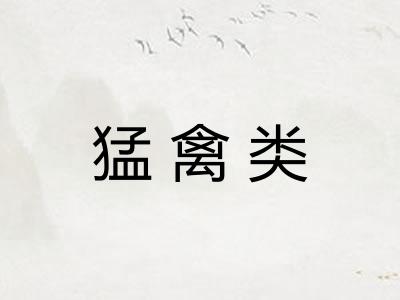 猛禽类