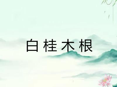 白桂木根