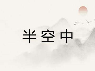 半空中 半空中