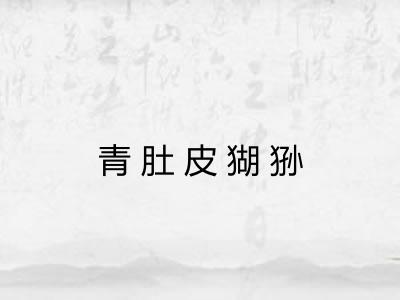 青肚皮猢狲