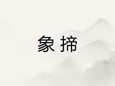 象揥