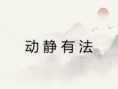 动静有法