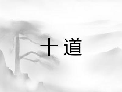 十道 十道