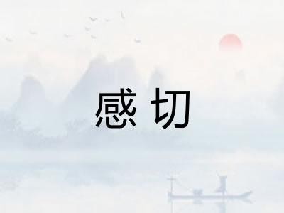 感切