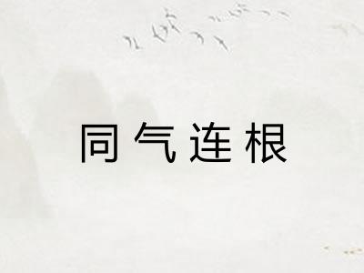 同气连根