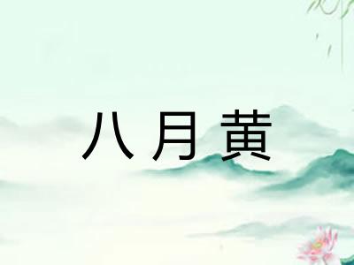 八月黄