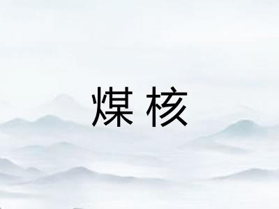 煤核
