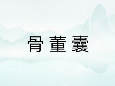骨董囊