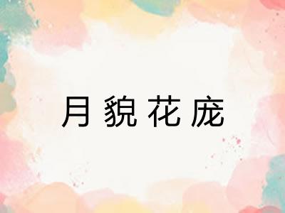 月貌花庞