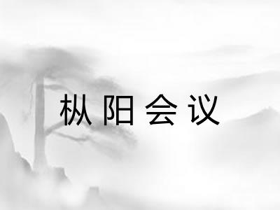 枞阳会议