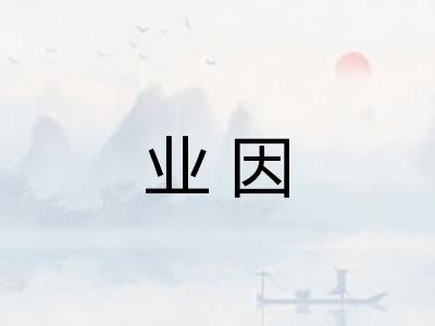 业因 业因
