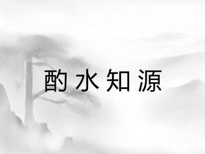 酌水知源