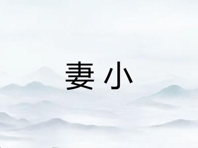妻小