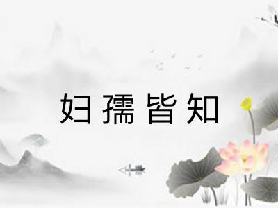 妇孺皆知