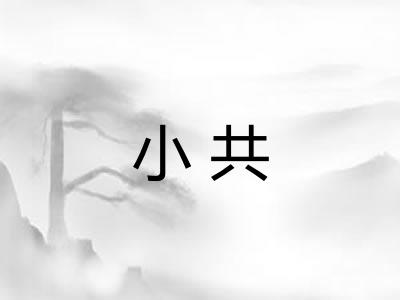小共