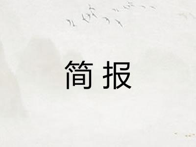 简报