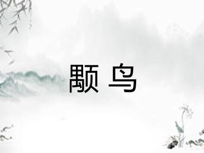 颙鸟