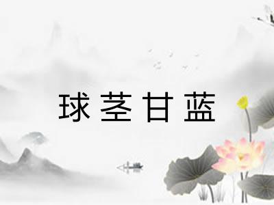 球茎甘蓝