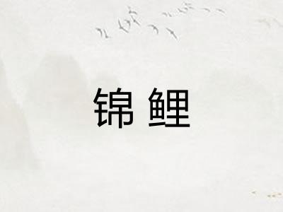 锦鲤 锦鲤