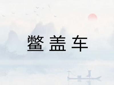 鳖盖车