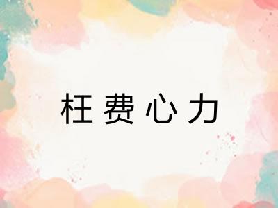 枉费心力 枉费心力