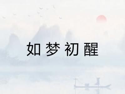 如梦初醒
