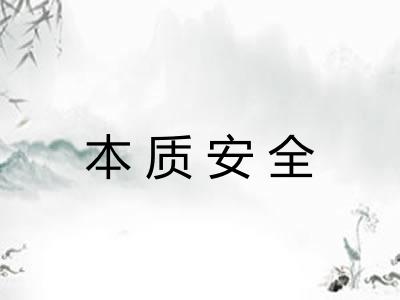 本质安全