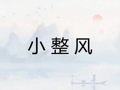 小整风 小整风