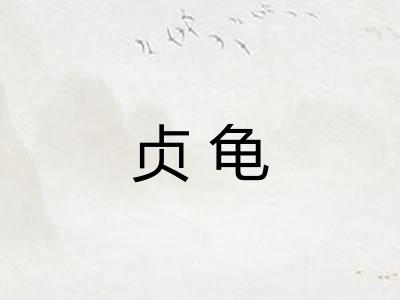 贞龟 贞龟