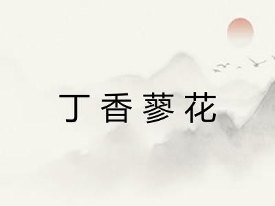 丁香蓼花 丁香蓼花