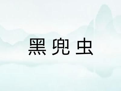 黑兜虫 黑兜虫