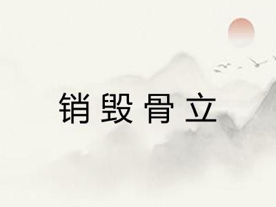 销毁骨立