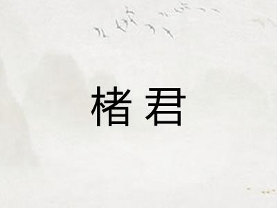 楮君