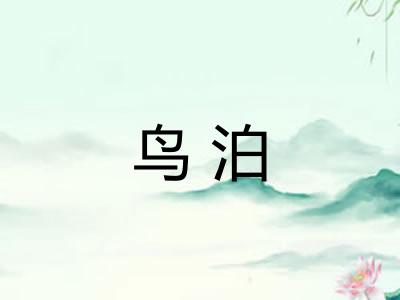 鸟泊
