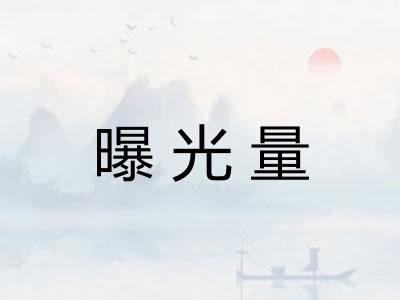 曝光量