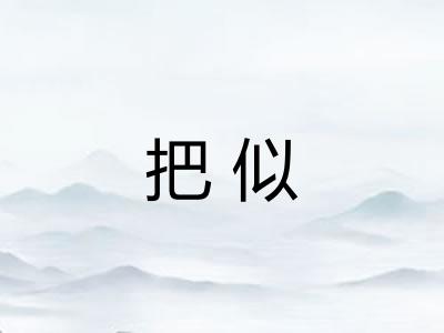 把似