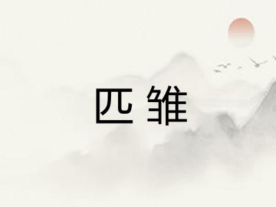 匹雏