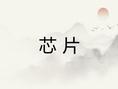 芯片