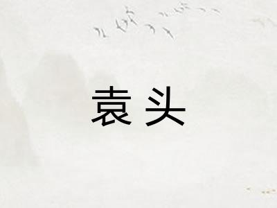 袁头