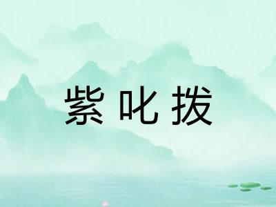 紫叱拨