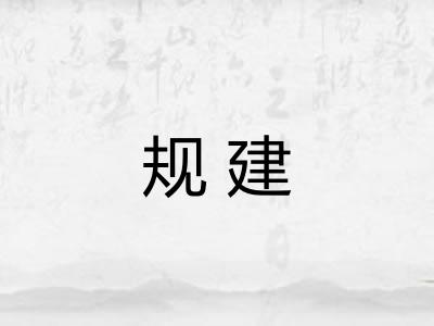 规建