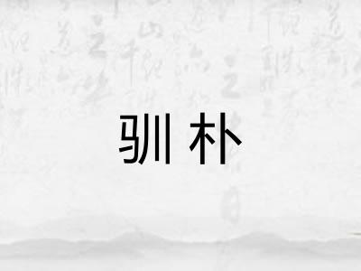 驯朴