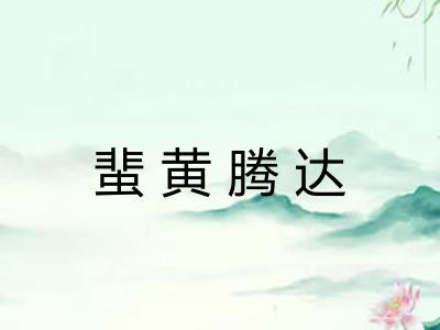 蜚黄腾达